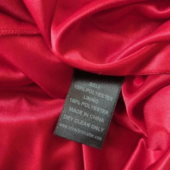 Corey Lynn Calter Purple color lock Pleated Dress - Picture 6 of 6